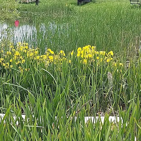 4 Star In Humble-by Traum Hébergement de vacances