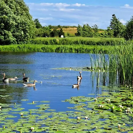 Hébergement de vacances 4 Star In Humble-by Traum *