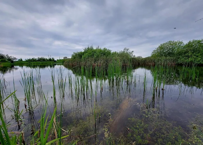 4 Star In Humble-by Traum * Nordenbro Vesteregn