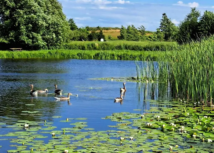 Hébergement de vacances 4 Star In Humble-by Traum *